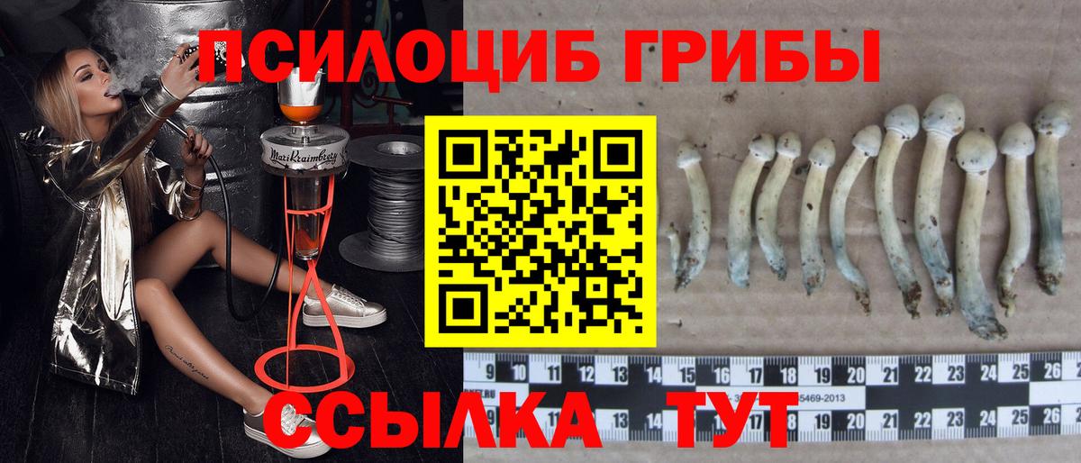 Благодарный  Псилоцибиновые грибы Magic Shrooms  Вход с VPN 