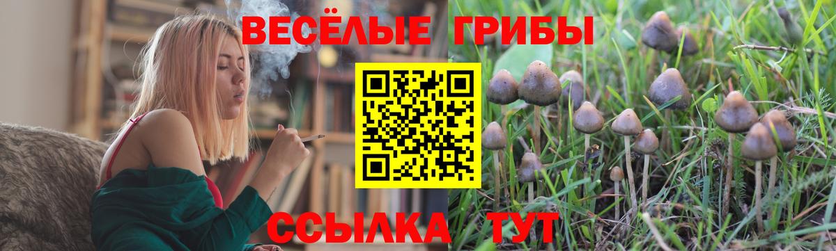 Галлюциногенные грибы Cubensis Благодарный
